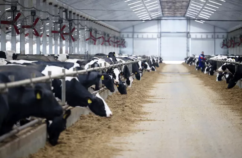 Изображение №1 для публикации «Новые и модернизированные предприятия агропрома: В Липецкой области открыли крупную молочную ферму на 2000 коров»