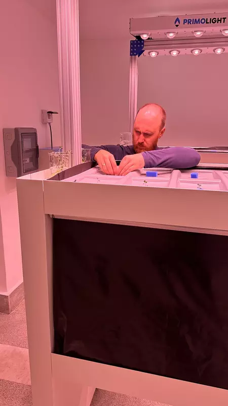 Фото 5 для «семенной картофель: Платформа Меристема запущена в Челябинске»