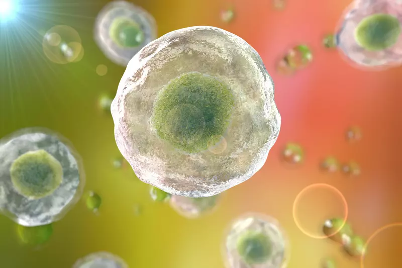 Российские биологи создали методику прицельной активации генов