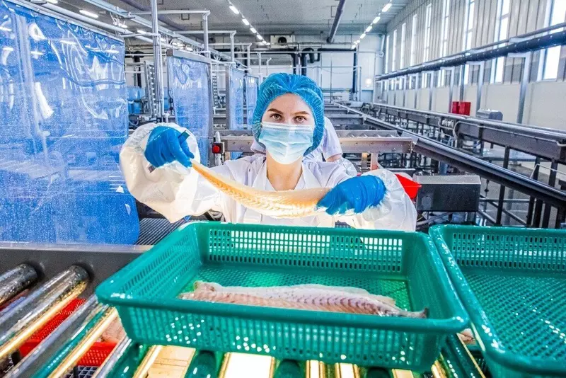 Оборот организаций рыбопромышленного комплекса вырос на 9 до 695 млрд рублей