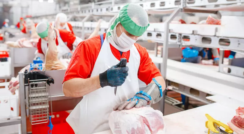 Чистогорский свинокомплекс Сибагро начал производство охлажденной продукции