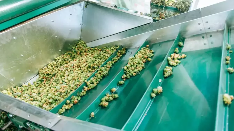 Изображение #5 для новости «Российская компания представила первый хмелеуборочный комплекс»