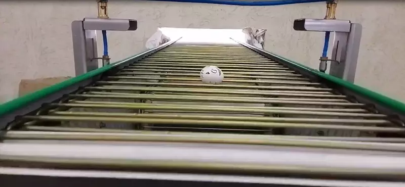 Конвейер для яиц