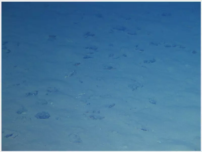 globallookpress.com © Xinhua/ZUMAPRESS.com