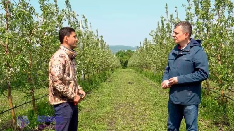 Производство натурального сока в Хвалынске История технологии планы на будущее