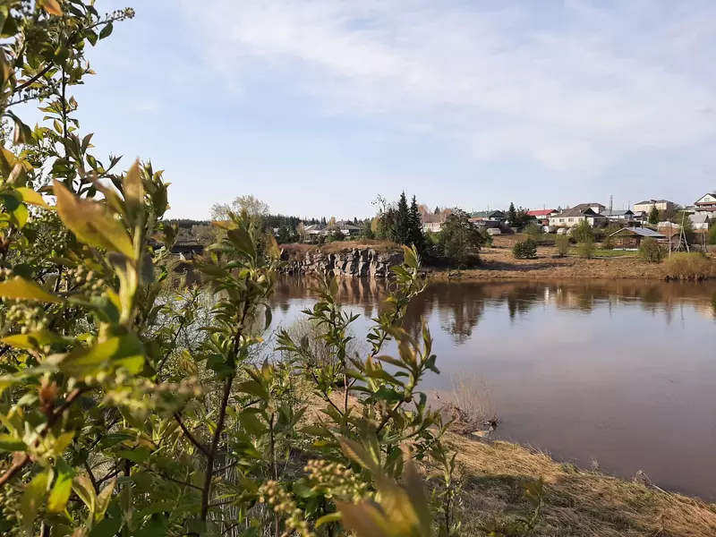 Река Тура в своих верховьях (фото автора)