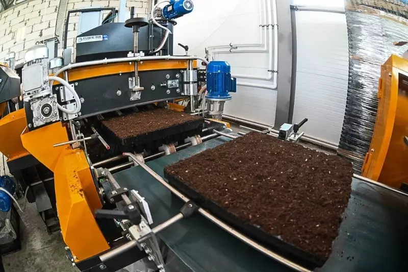 Фото 4 для поста «Тюмень: Тюменское предприятие запустило линию по посадке семян хвойных деревьев»