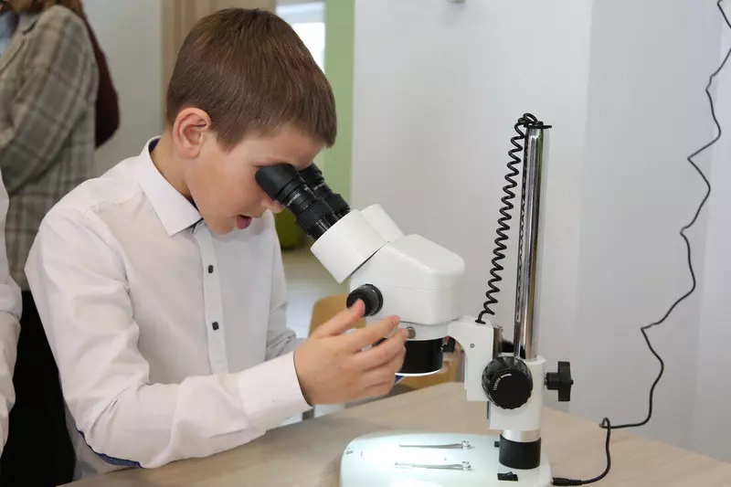 Иллюстрация #7 для «В селе Усть Кокс Республики Алтай открылась новая школа»