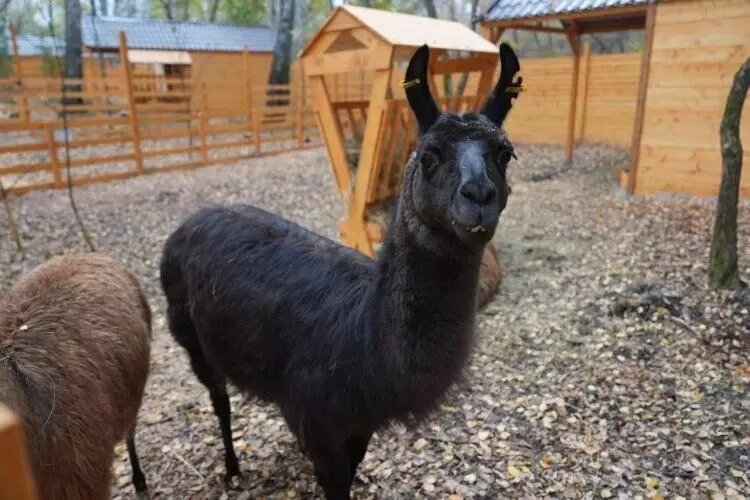 Изображение №63 для поста «Благоустройство сибирских городов часть 6»