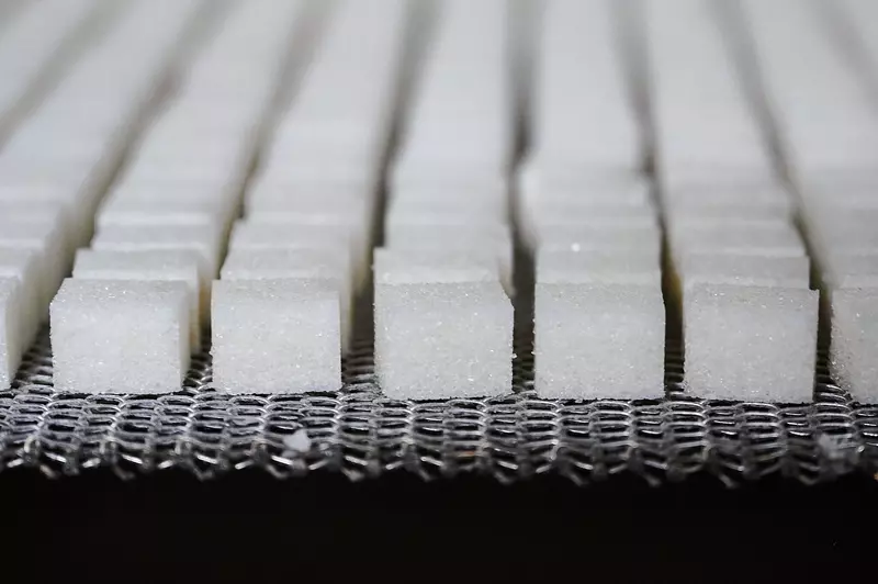 Сахара хватит на всех или как его производят на предприятиях ГК Продимекс