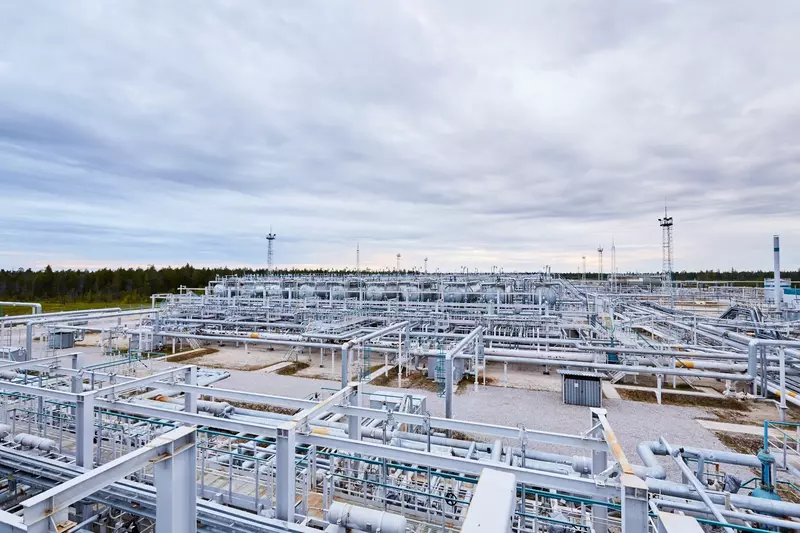 #21 для поста «Тюменское импортозамещение часть 20»