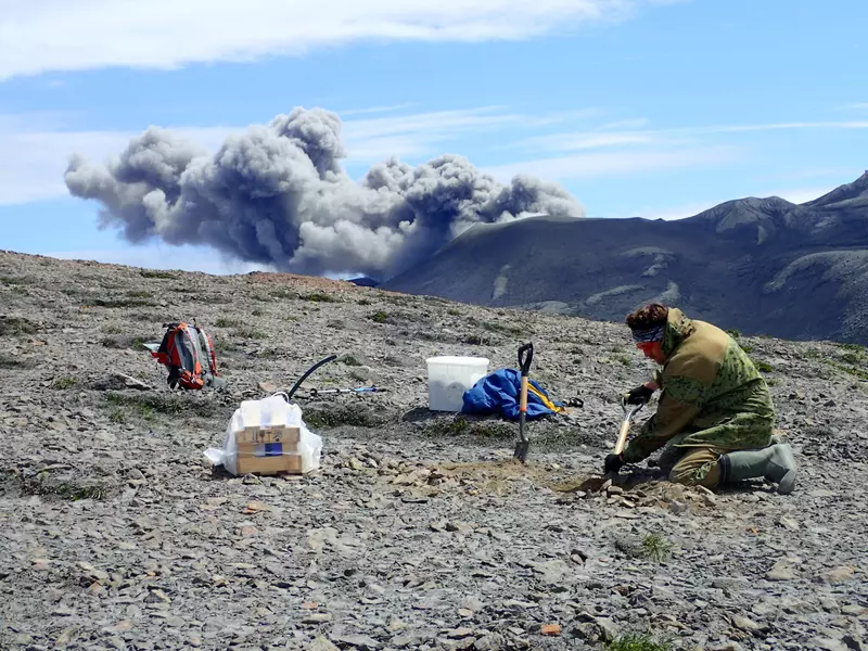 Источник: Иван Кулаков/ИНГГ СО РАН