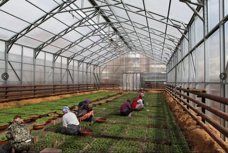 Картинка 14 для поста «Иркутская область развитие экономики часть 4»