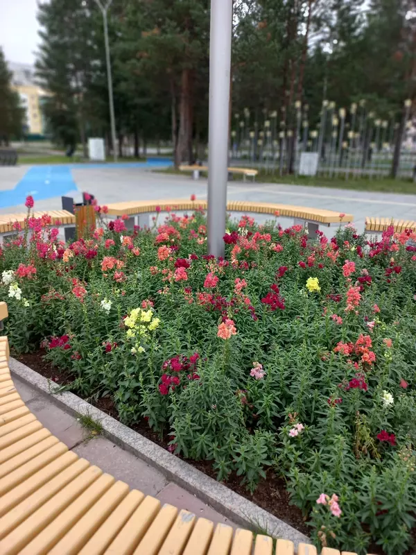 Фото №74 для публикации «Ямальский меридиан 14»