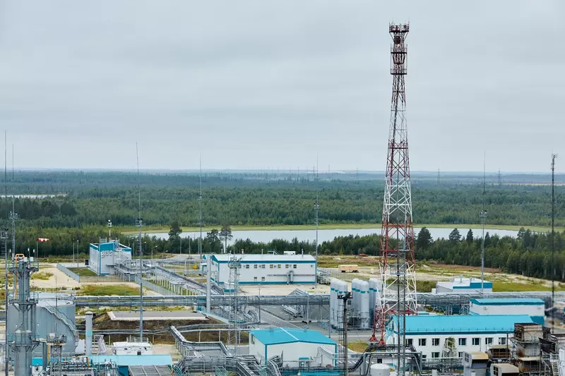 Иллюстрация #15 для поста «Тюменское импортозамещение часть 20»