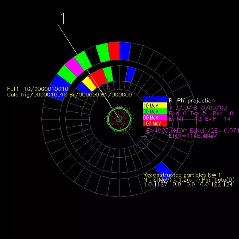 Событие с треками в СНД во время эксперимента. Предоставлено С. Середняковым.