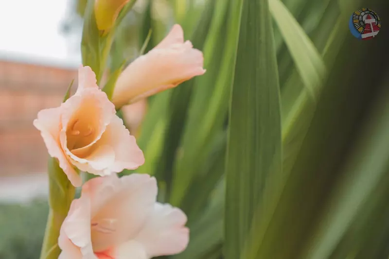 Изображение #72 для статьи «Ямальский меридиан 16»