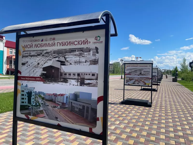 Губкинский