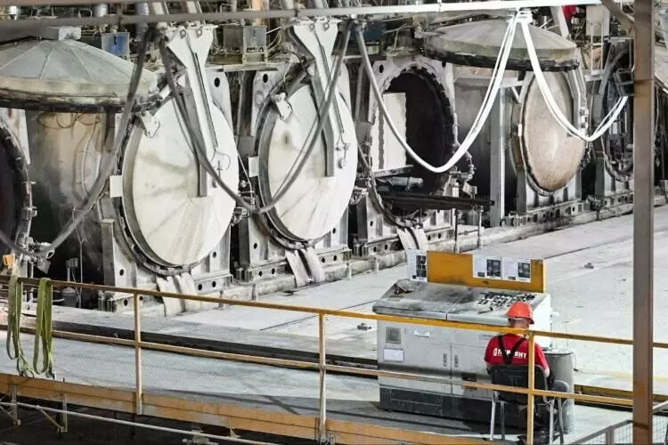 Изображение 17 для поста «Тюменское импортозамещение часть 14»