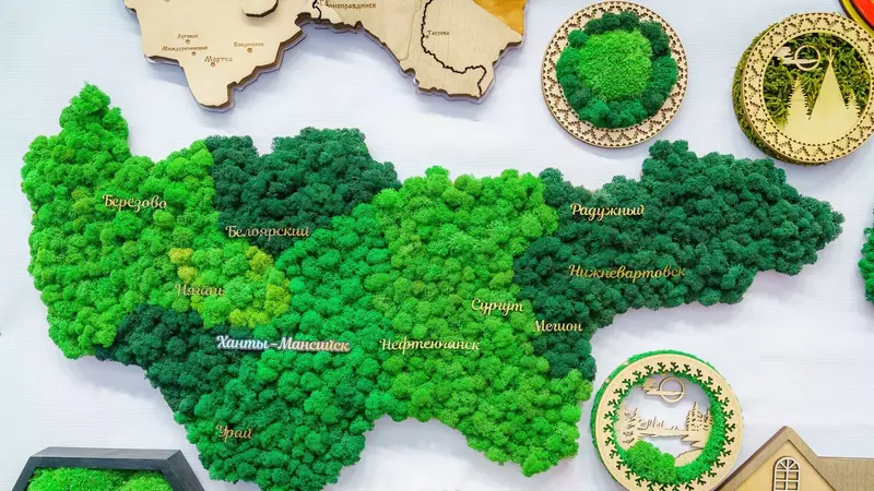 Изображение №16 для «Тюменское импортозамещение часть 10»