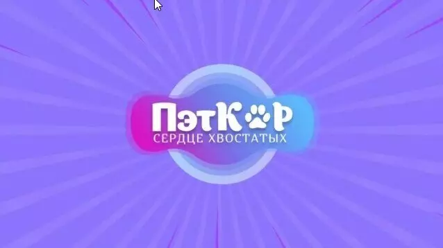 Первый этап создания цифровой экосистемы для владельцев домашних животных