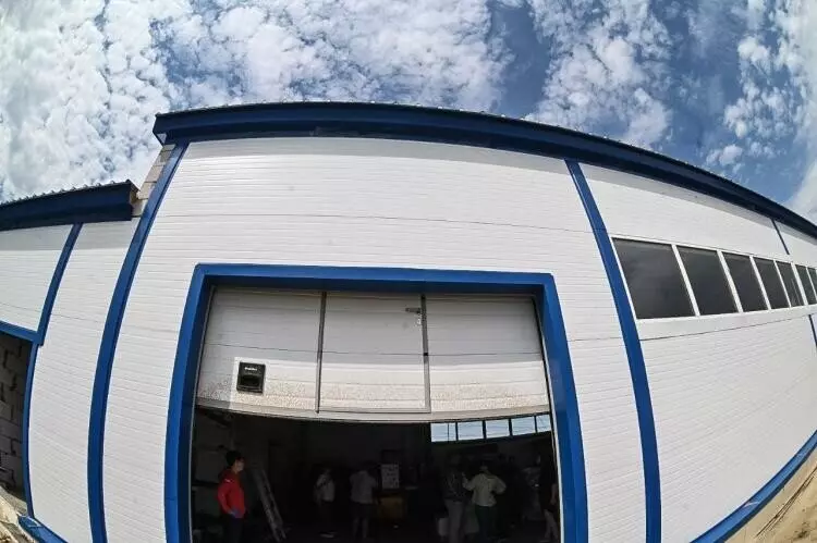 #6 для статьи «лесоводство: Тюменское предприятие запустило линию по посадке семян хвойных деревьев»