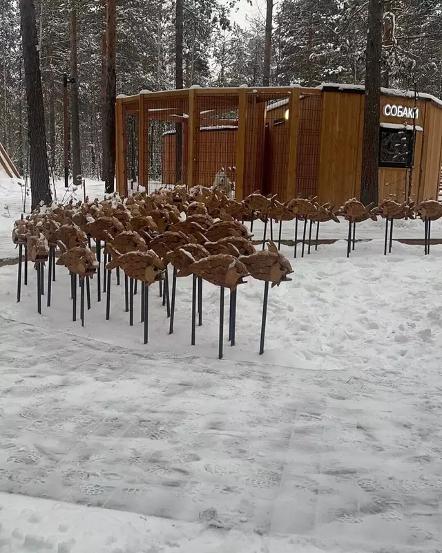 24 для новости «Третья очередь Ноябрьск парка открылась на Ямале»