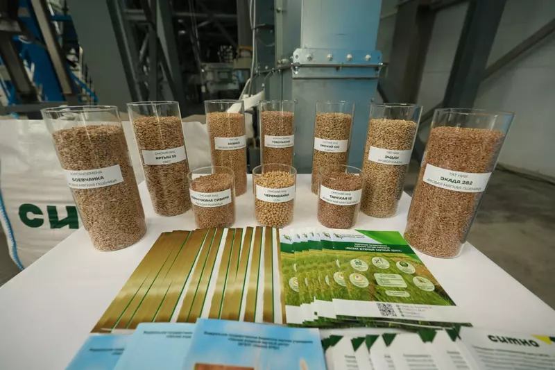 Изображение 2 для новости «семеноводство: В Челябинской области запущен завод по хранению и очистке семян»