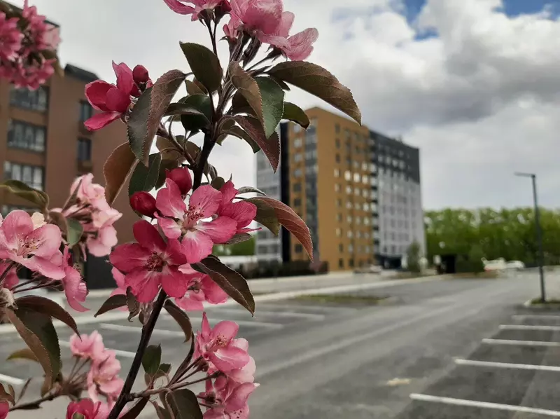 Микрорайон "Краснолесье" (фото автора)