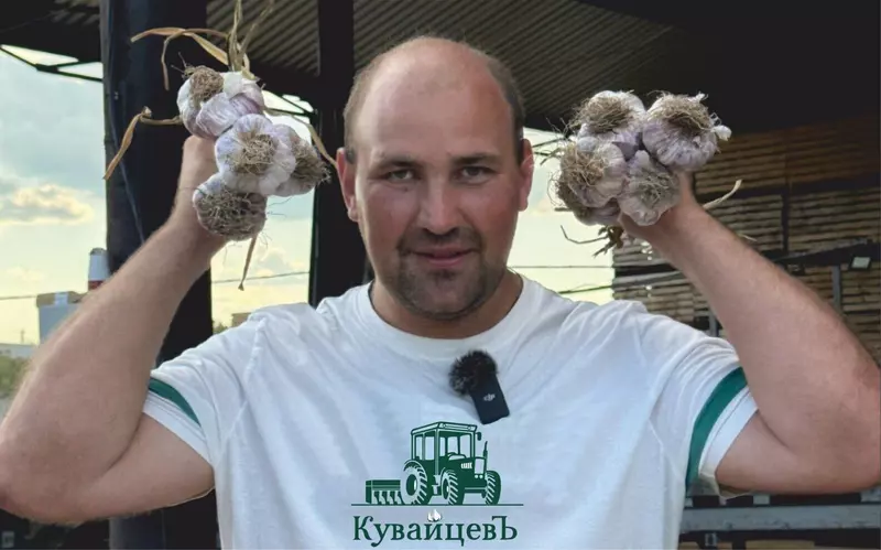 Фото #1 для поста «Народная марка: Кувайцевъ От скромных начал к аграрному прорыву в выращивании чеснока»