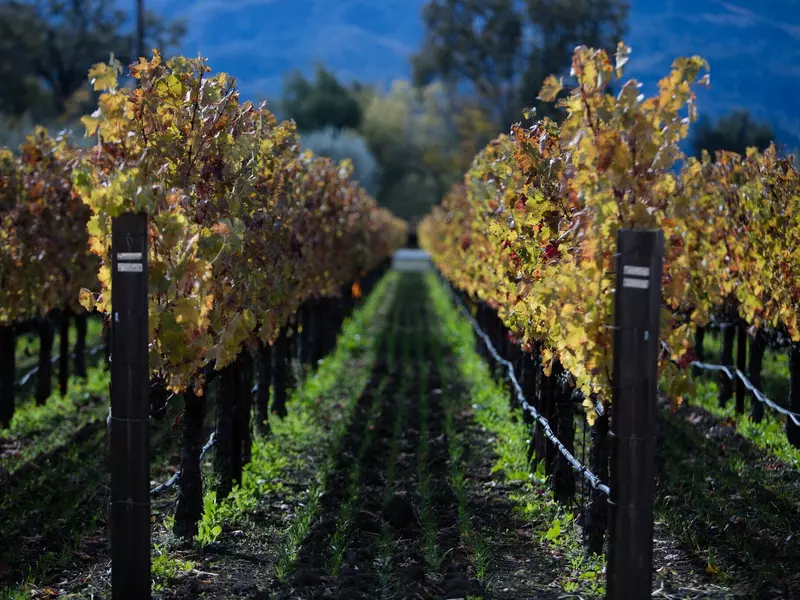 Фото сайта flickr.com