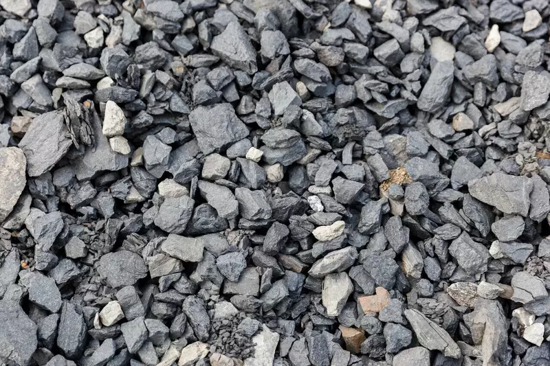 Фото №1 для публикации «Лесоводство: В углеобогатительном цехе ЕВРАЗ ЗСМК реализовали проект по сухому вывозу отходов»