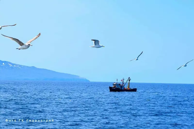 Российские рыбаки в этом году работают более эффективно