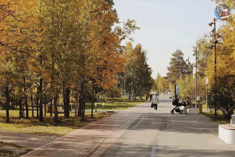 81 для поста «Ямальский меридиан 16»