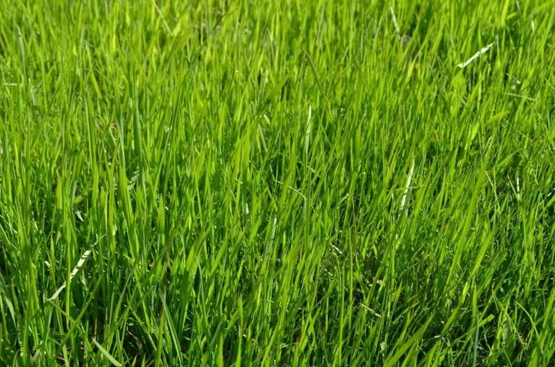 Изображение #15 для «Тюменское импортозамещение часть 10»