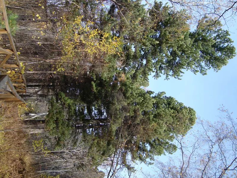 Изображение #12 для «День Байкала»