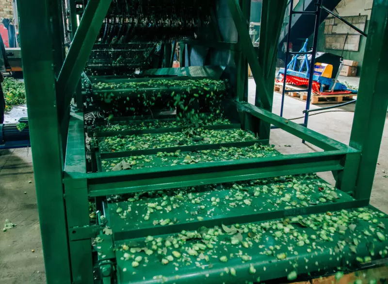 9 для публикации «Российская компания представила первый хмелеуборочный комплекс»