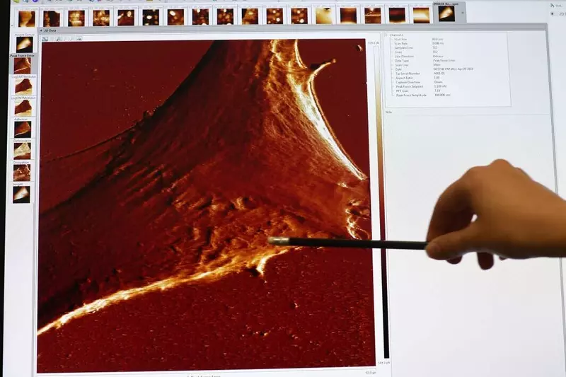 Изображение №2 для поста «медицина: Ученые РУДН разработали технологию вечного хранения искусственных органов»