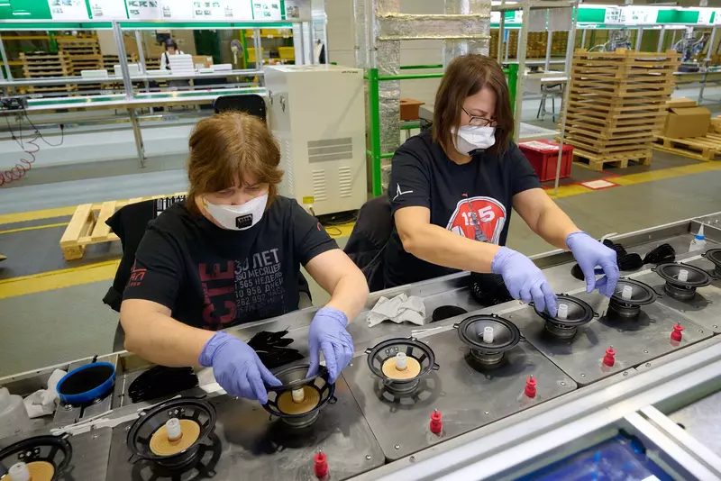 Бионышева Елена "Сделано у нас"