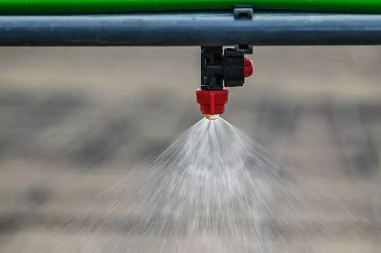 Изображение #9 для поста «Тюменское предприятие запустило линию по посадке семян хвойных деревьев»