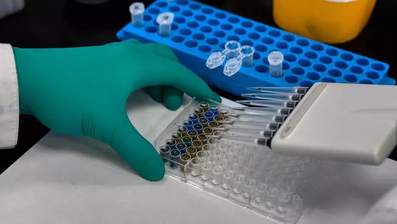 Иллюстрация №29 для новости «СПбНИИВС ФМБА 84 года на страже здоровья россиян»