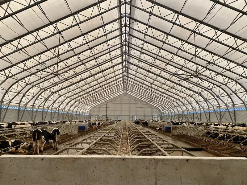 Фото №3 для статьи «модернизация: Производство молока на ферме в Гаврилов Ямском округе выросло на 30 благодаря модернизации»