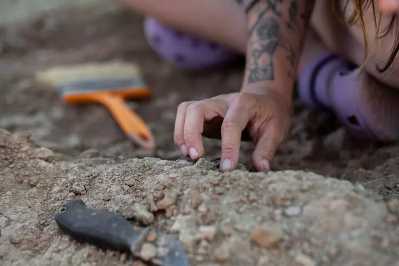 Фото 6 для новости «В Кузбассе обнаружили уникальный янтарь возрастом более 100 млн лет»