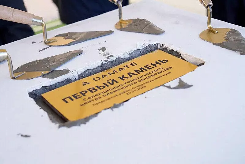 Дамате начала строить селекционно генетический центр племенного овцеводства