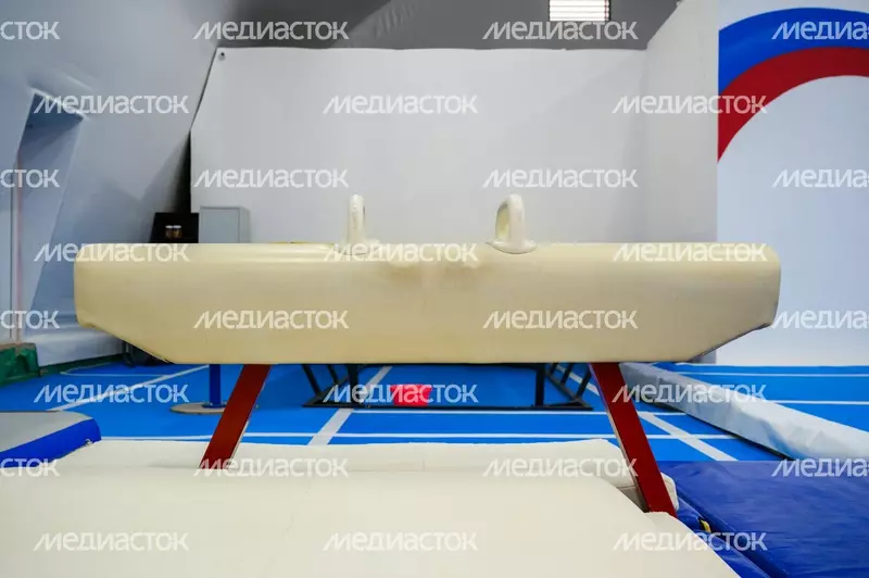 Картинка 8 для новости «Новый физкультурно оздоровительный комплекс открылся в Московской области»