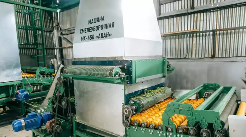 Картинка №2 для публикации «Чувашия: Российская компания представила первый хмелеуборочный комплекс»