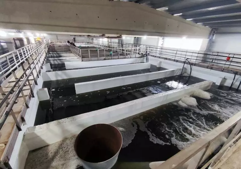 Иллюстрация №2 для статьи «Рыбоводство: В регионах Сибири реализованы крупные экологические проекты»