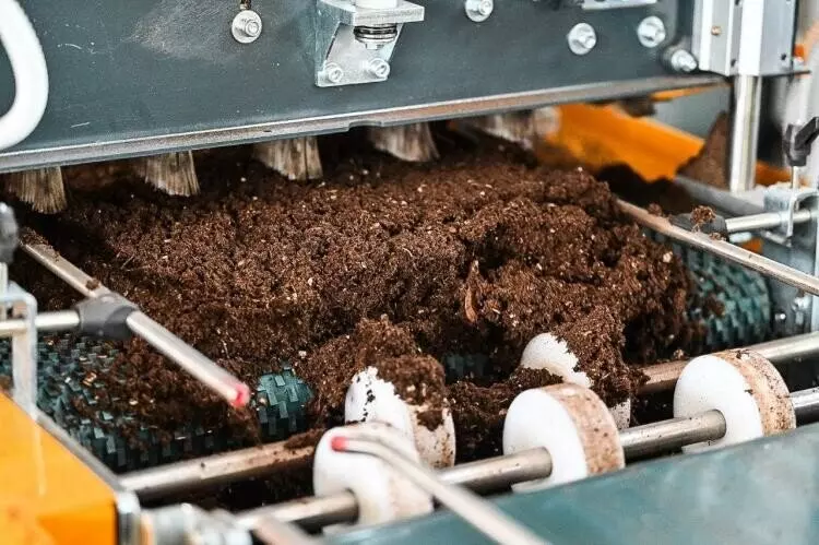 №3 для новости «Экология: Тюменское предприятие запустило линию по посадке семян хвойных деревьев»