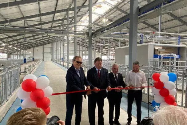 В Лужском районе Ленобласти открыли роботизированную молочную ферму