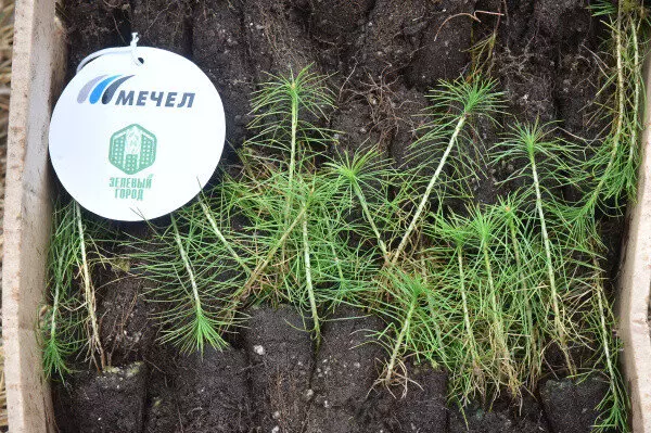 ЧМК провел модернизацию экологического оборудования на своем агломерационном производстве